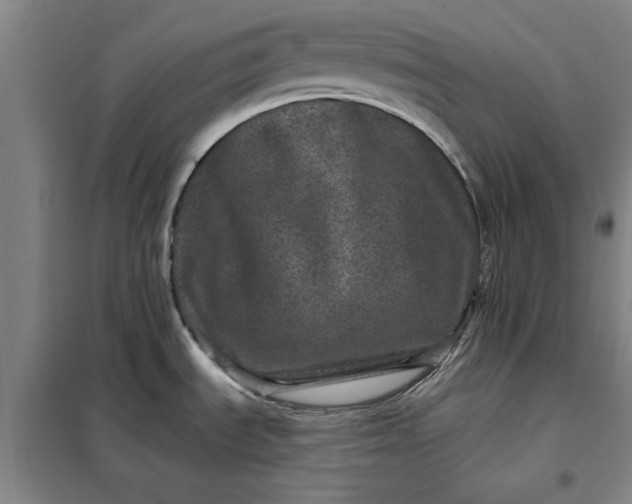 X0000098151535200805011356