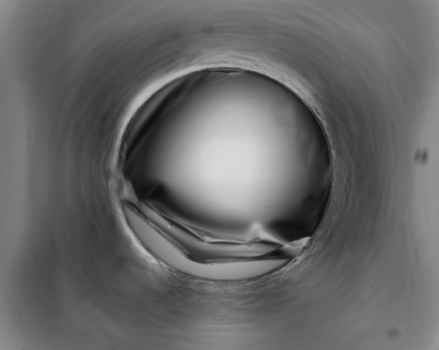 X0000098151536200805011356