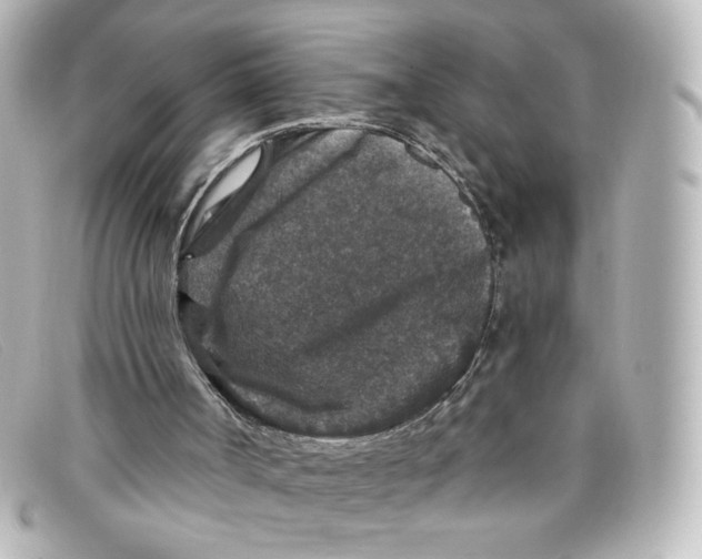 X0000098150002200805081052