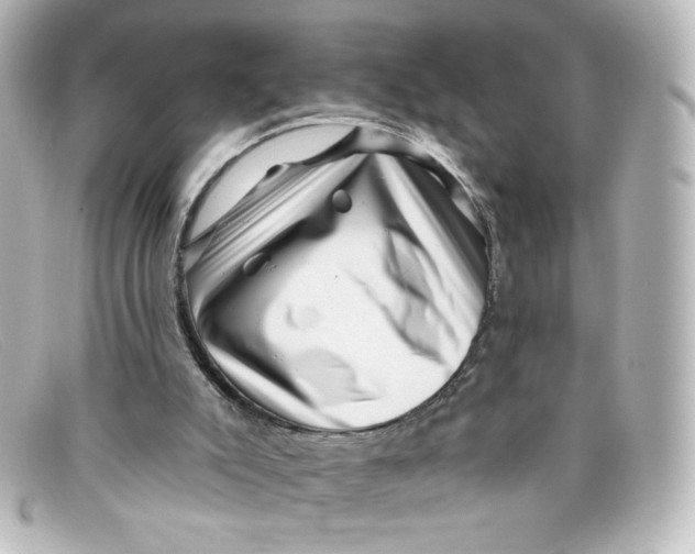 X0000098150007200805081052