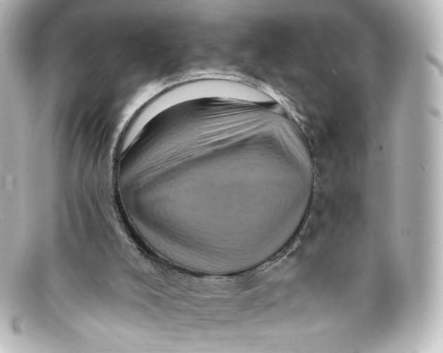 X0000098150008200805081052