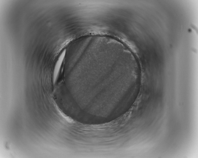 X0000098150009200805081052