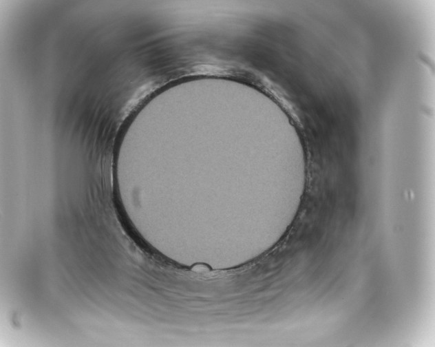 X0000098150011200805081052