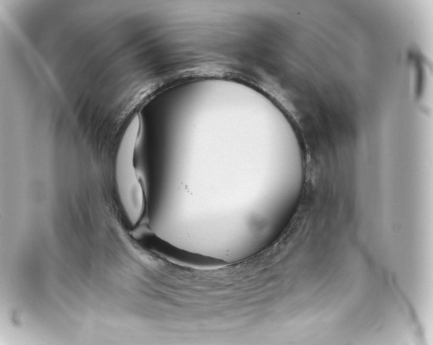 X0000098150013200805081052
