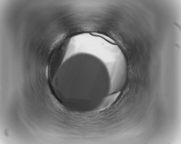 X0000098150019200805081052