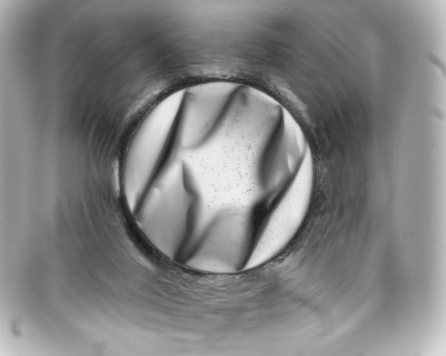 X0000098150020200805081052