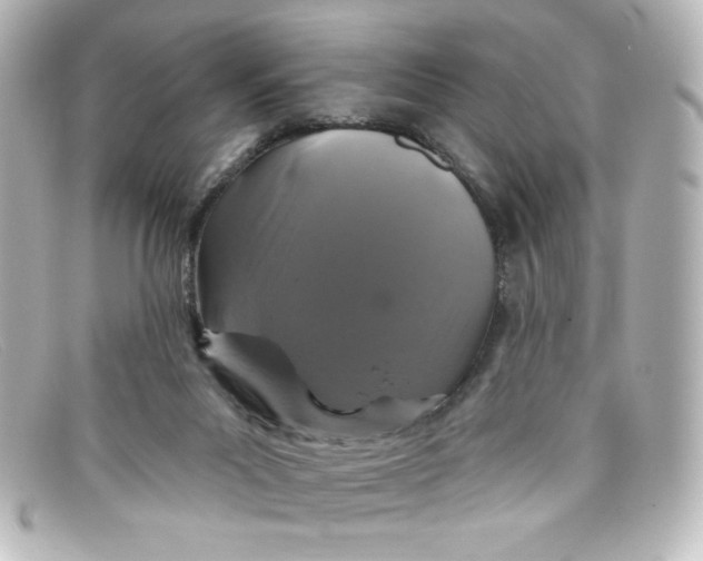 X0000098150023200805081052