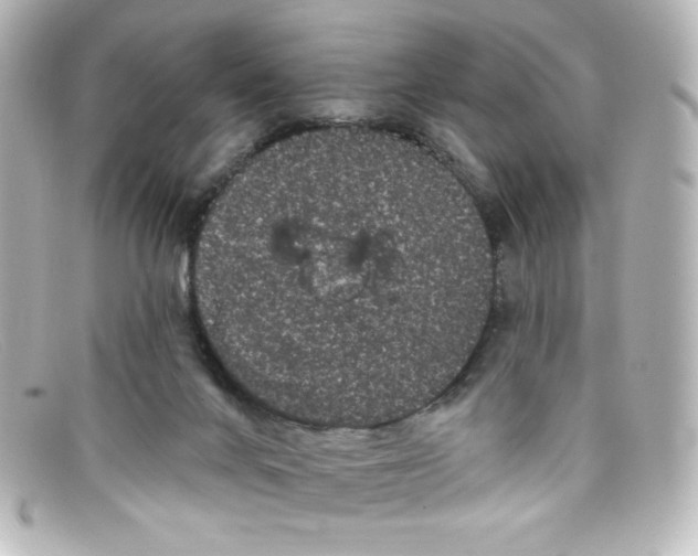 X0000098150024200805081052