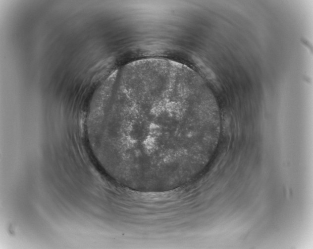 X0000098150026200805081052