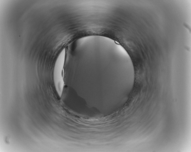 X0000098150027200805081052