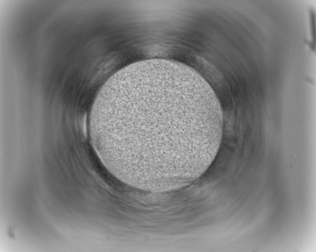 X0000098150028200805081051