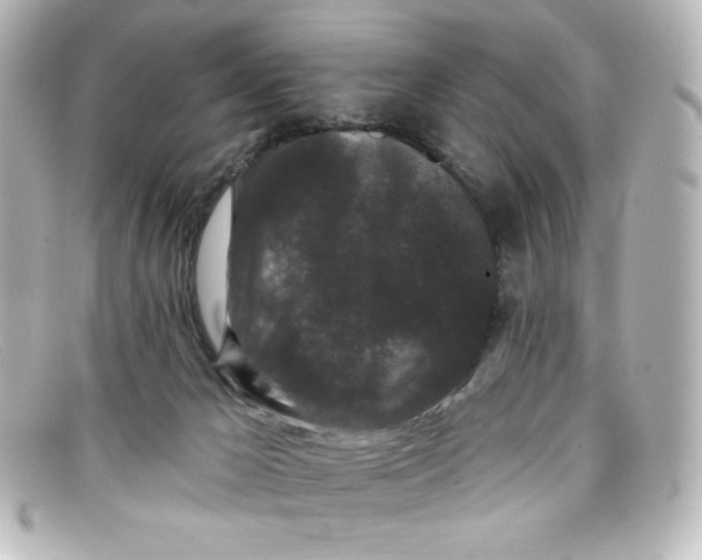 X0000098150029200805081051