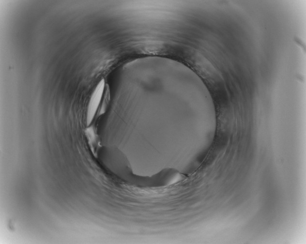 X0000098150031200805081051