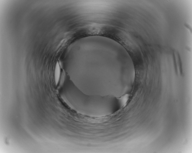 X0000098150035200805081051