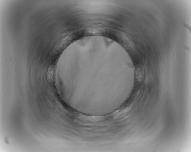 X0000098150036200805081051
