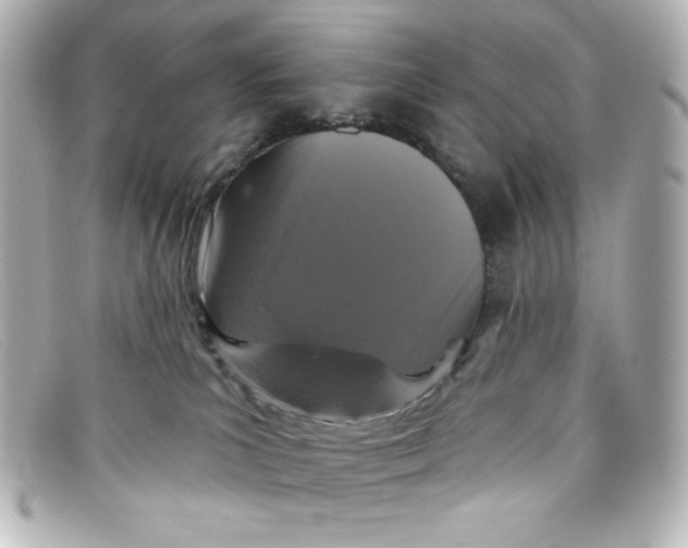 X0000098150039200805081051