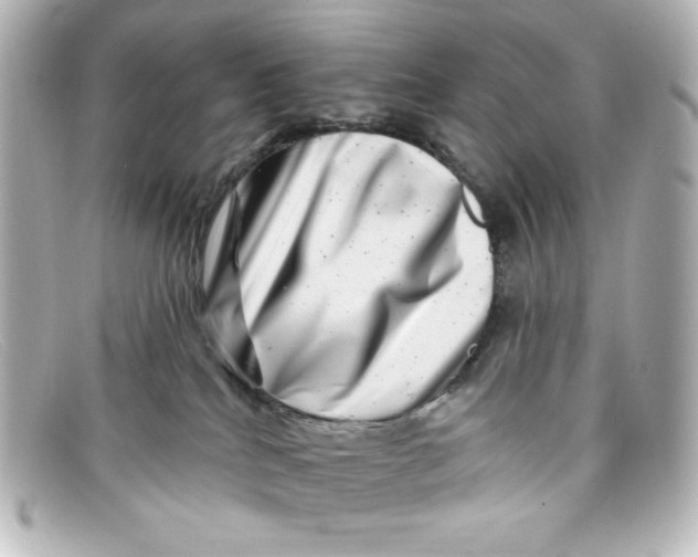 X0000098150040200805081051