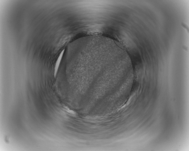 X0000098150041200805081051