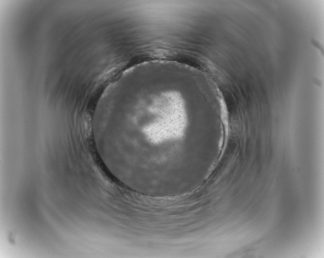 X0000098150043200805081051