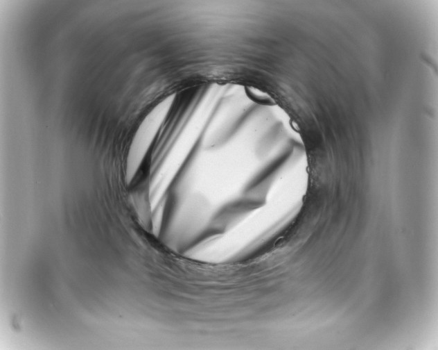 X0000098150044200805081051