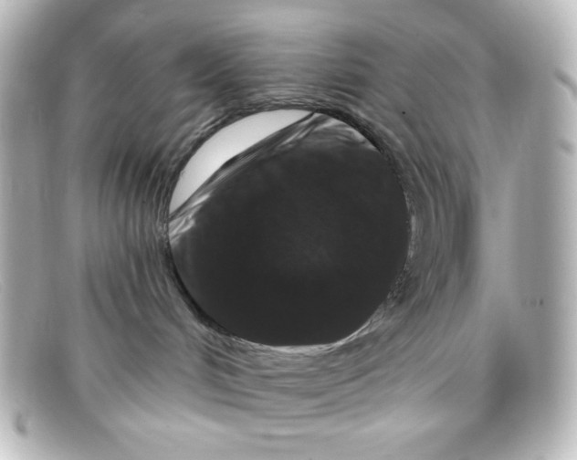 X0000098150048200805081051