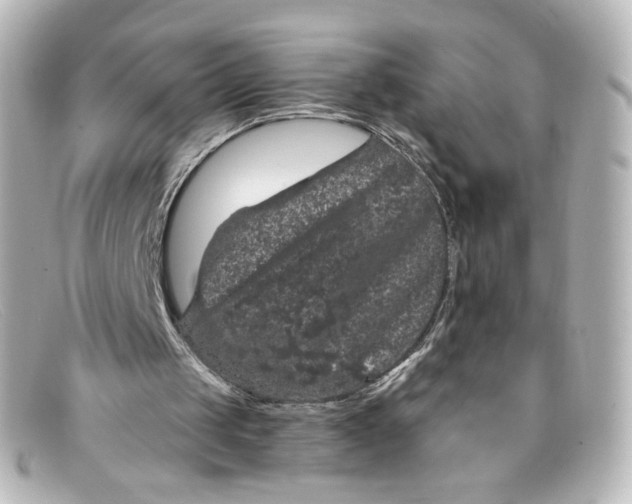 X0000098150049200805081051