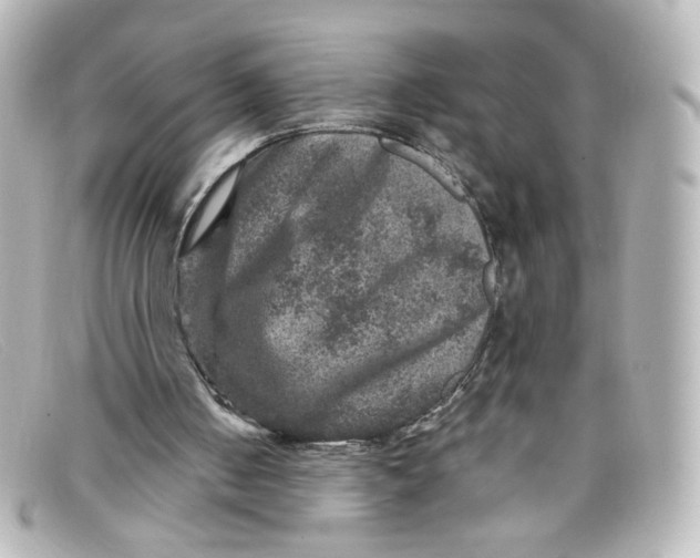X0000098150050200805081051