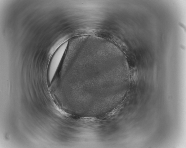 X0000098150051200805081051