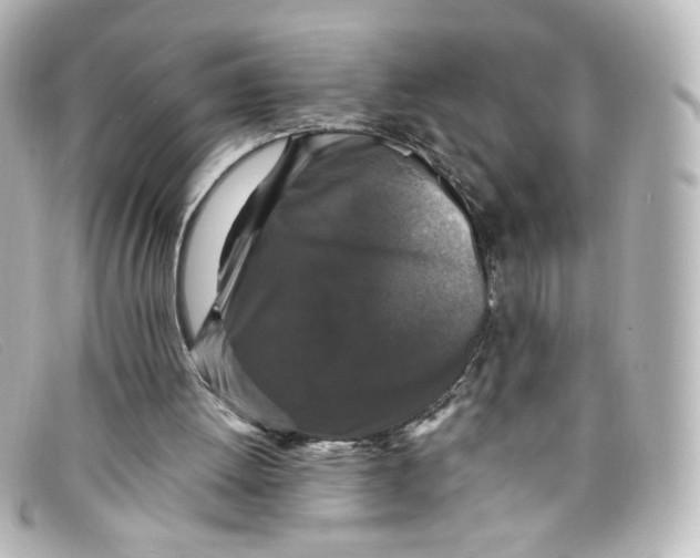 X0000098150052200805081051
