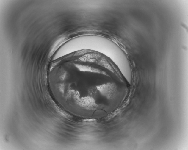 X0000098150053200805081051