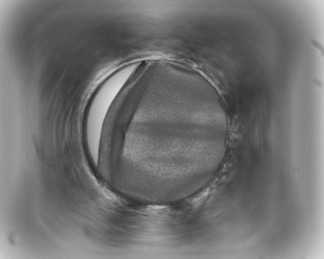 X0000098150055200805081051