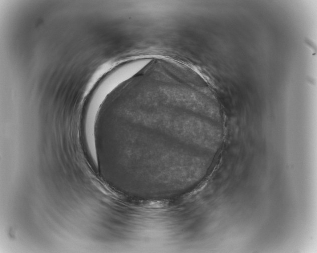 X0000098150056200805081051