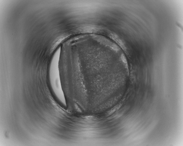 X0000098150058200805081051