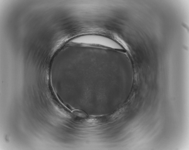 X0000098150059200805081051