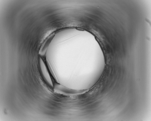 X0000098150060200805081051