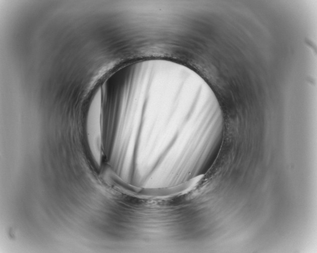 X0000098150064200805081051