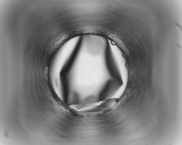 X0000098150066200805081051