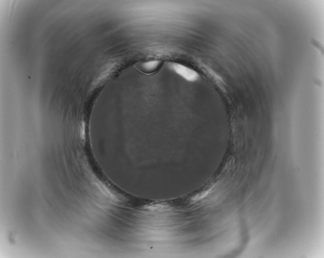 X0000098150067200805081051