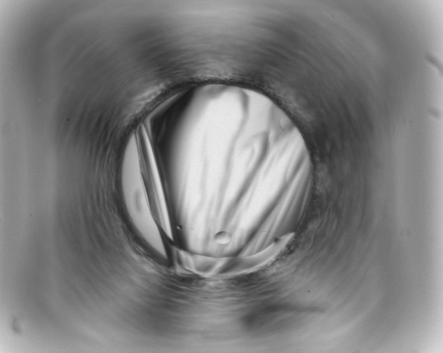 X0000098150068200805081051
