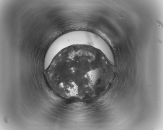 X0000098150069200805081051