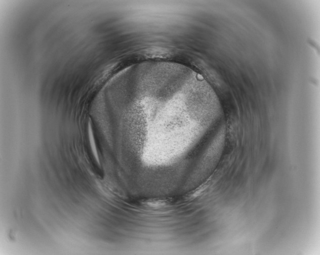 X0000098150070200805081051