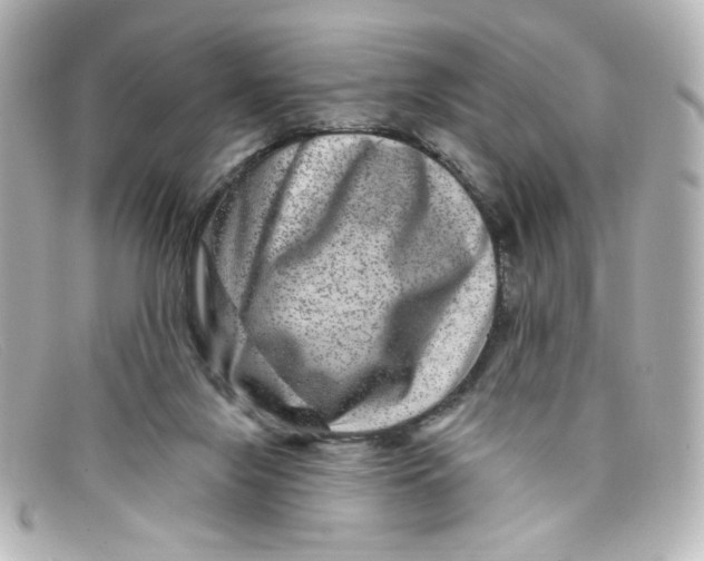 X0000098150071200805081051