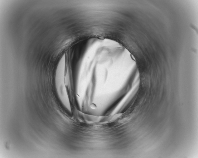 X0000098150072200805081051