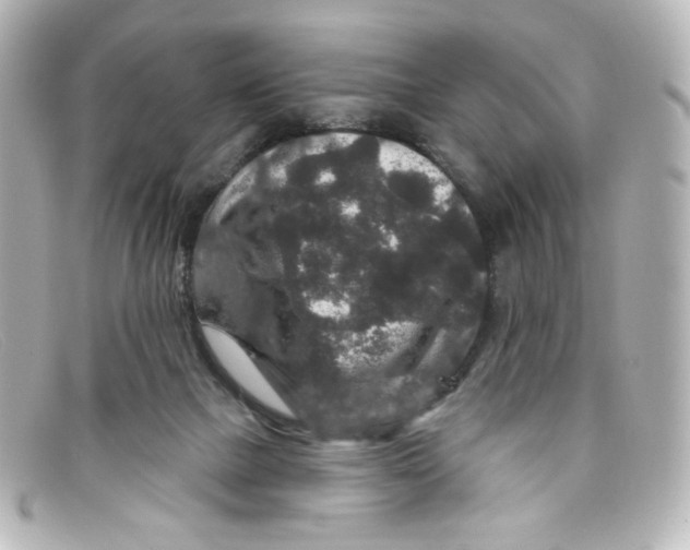 X0000098150073200805081051