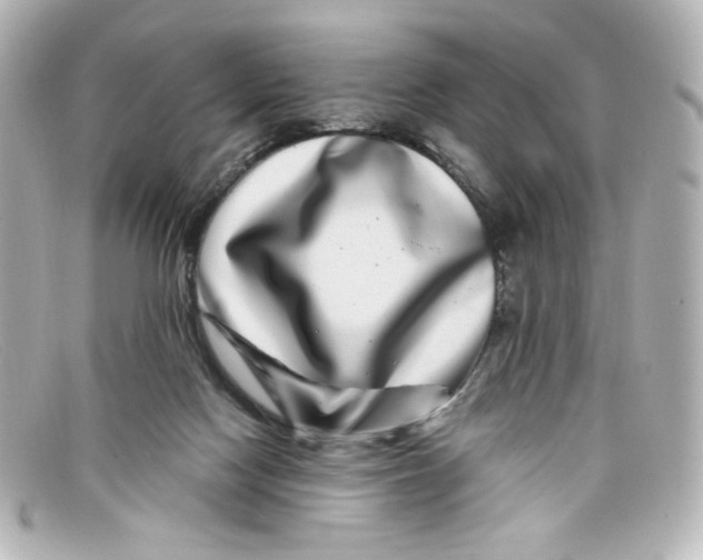 X0000098150074200805081051
