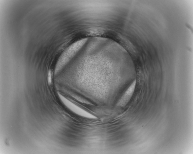 X0000098150075200805081051