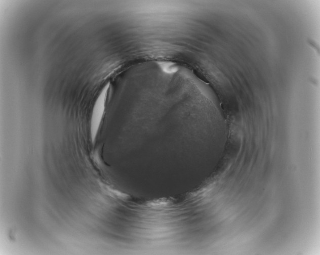 X0000098150076200805081051