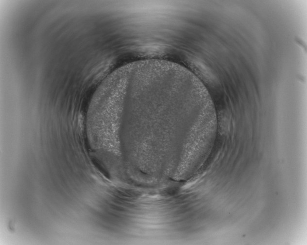 X0000098150077200805081051