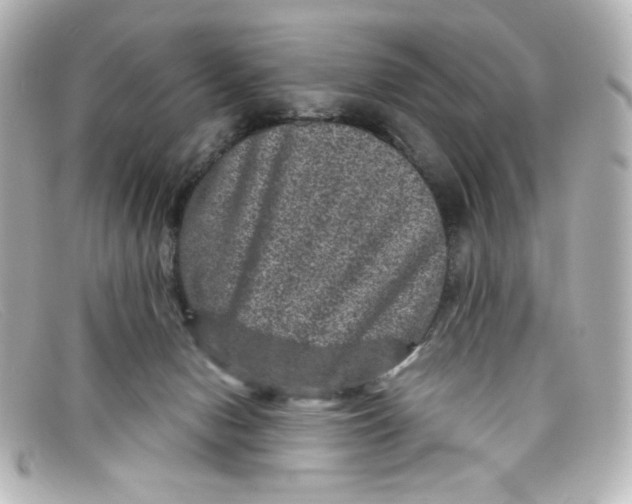 X0000098150078200805081051