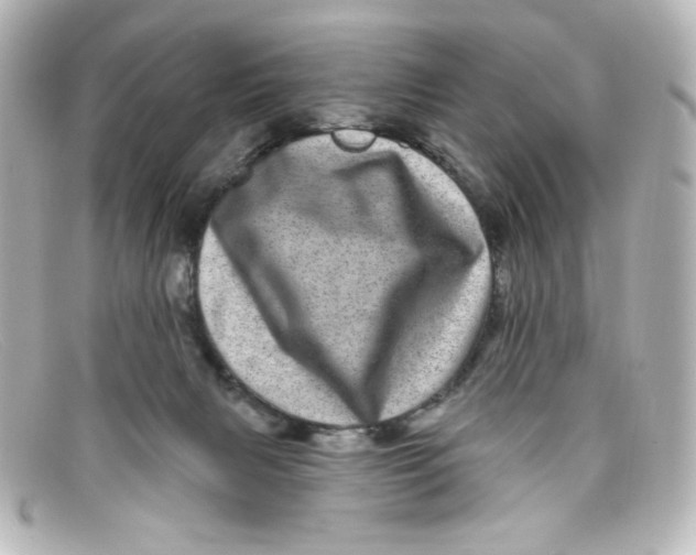 X0000098150079200805081051
